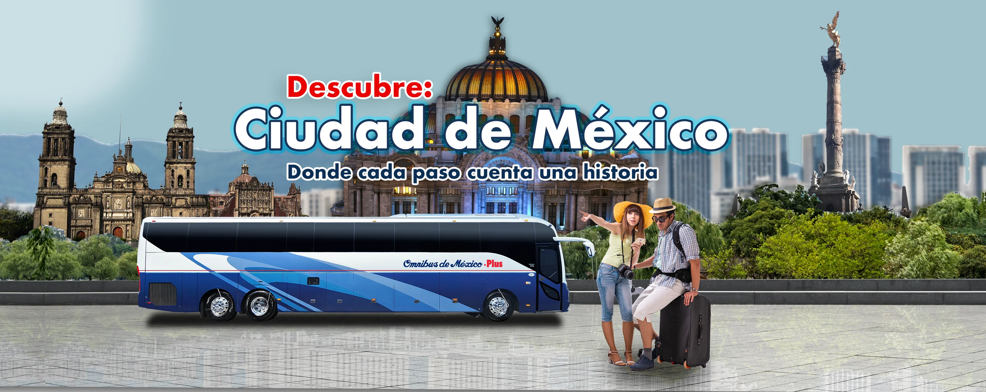 boleto de autobus camion a cdmx