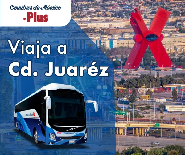 boleto de autobus camion a ciudad juarez