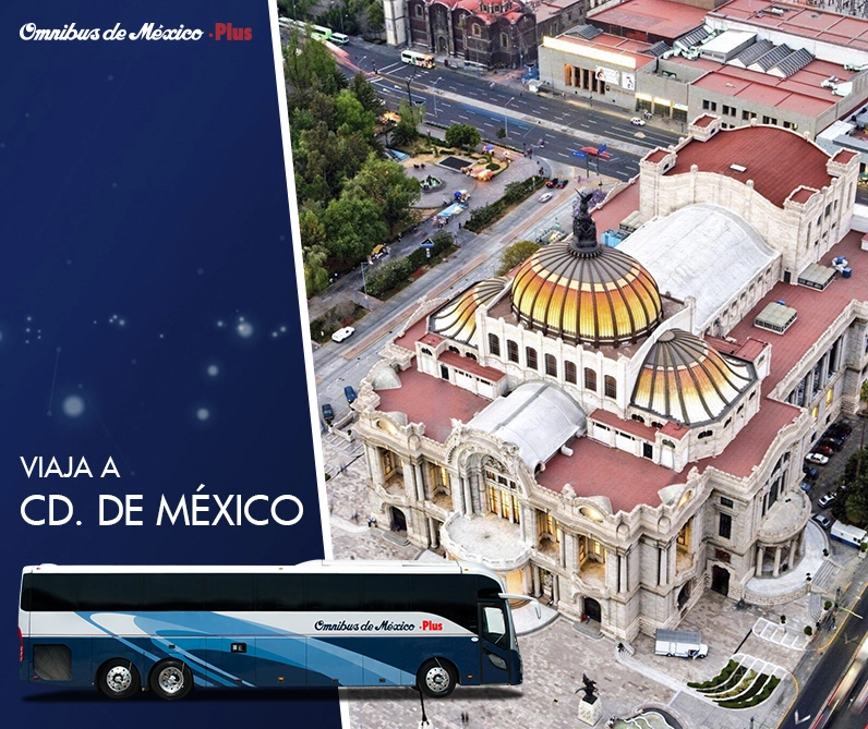 Boleto de autobus para viajar a la ciudad de mexico