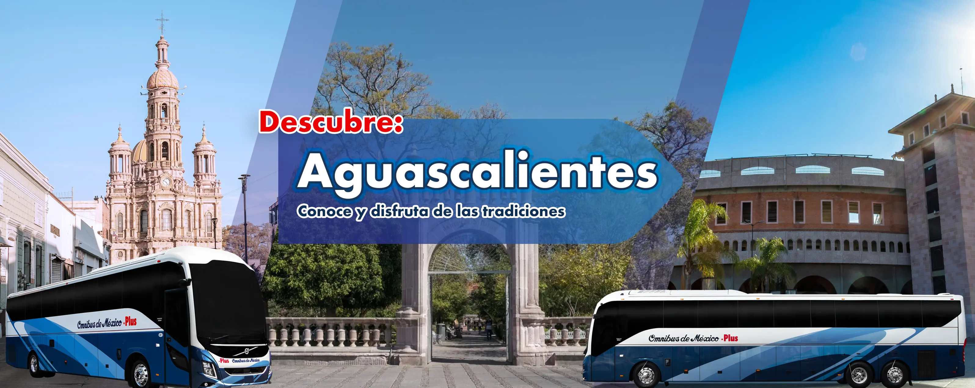 boleto de autobus camion a aguascalientes