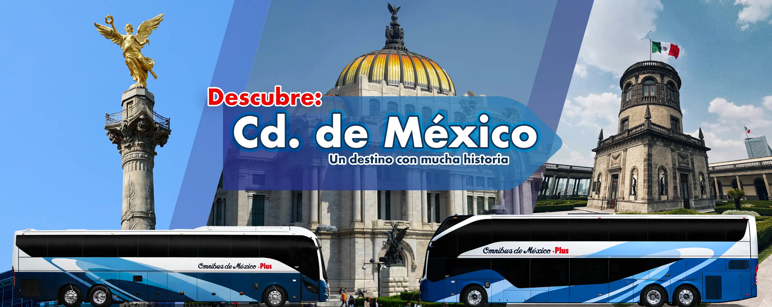boleto de autobus camion a cdmx