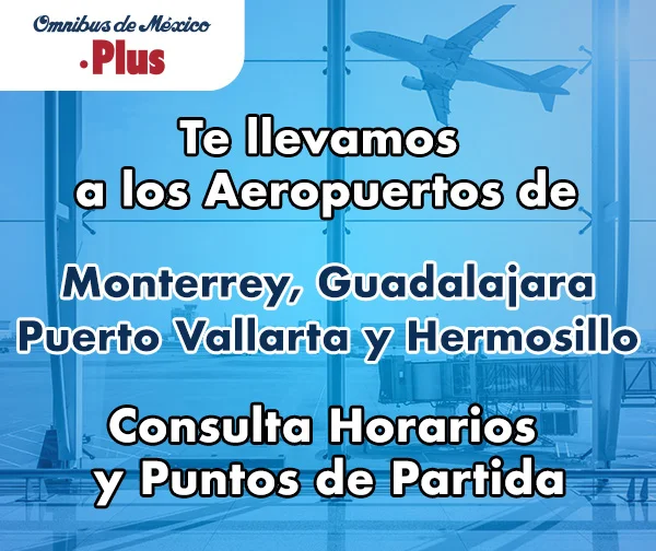boleto de autobus al aeropuerto de monterrey guadalajara puerto vallarta y hermosillo