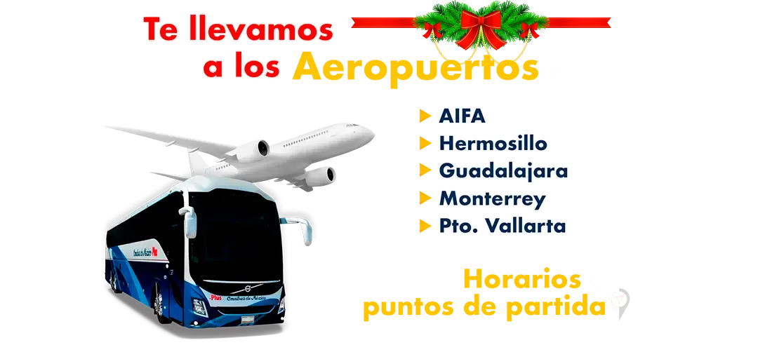 boleto de autobus al aeropuerto de monterrey guadalajara puerto vallarta y hermosillo