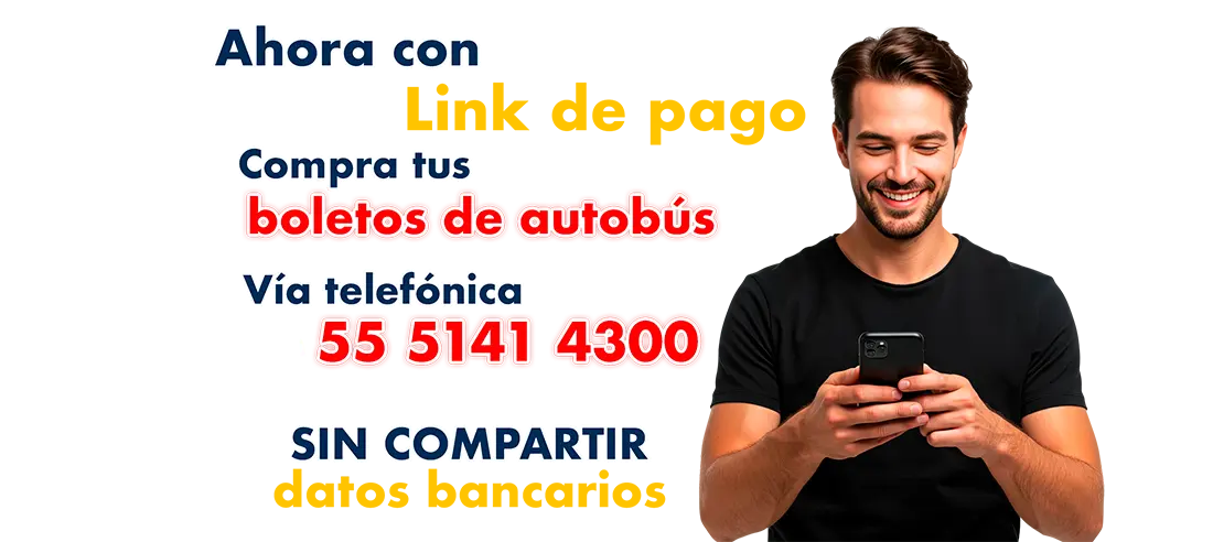 omnibus de méxico boleto de autobus link de pago