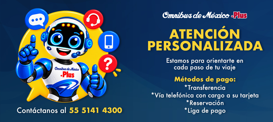 omnibus de méxico boleto de autobus link de pago