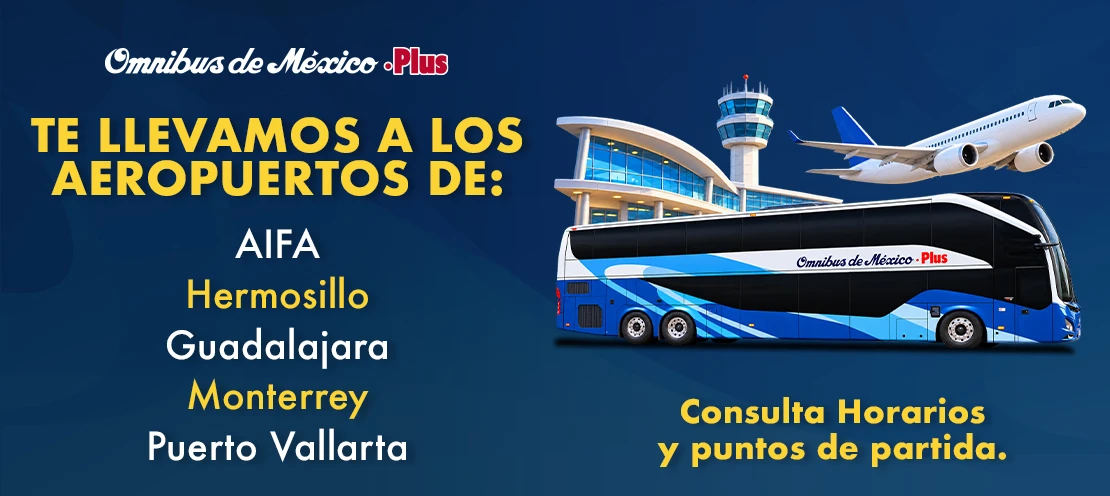 boleto de autobus al aeropuerto de monterrey guadalajara puerto vallarta y hermosillo